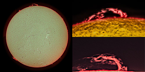 Sun