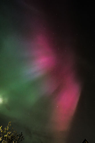 Aurora Borealis Other