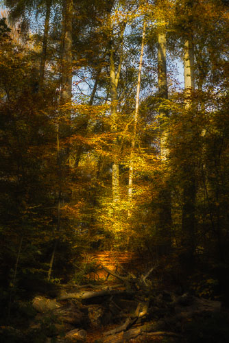 Landschappen