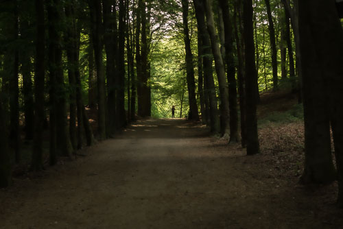 Landschappen