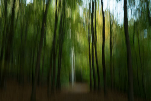ICM