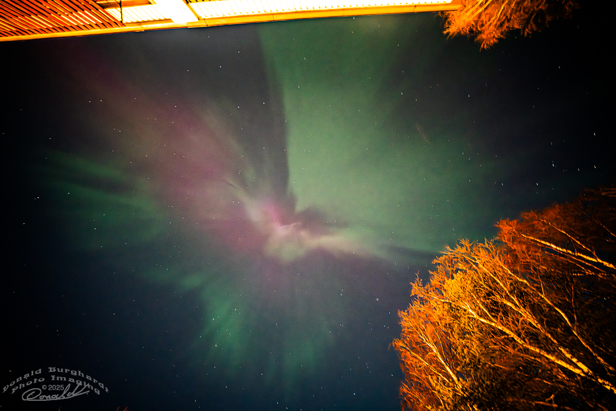 Corona over Borealis